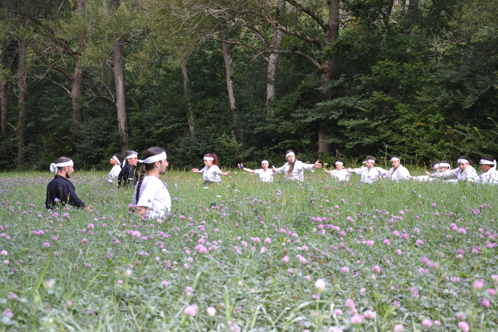 Scéance de Ki Taiso lors d'un entraînement en plein air.